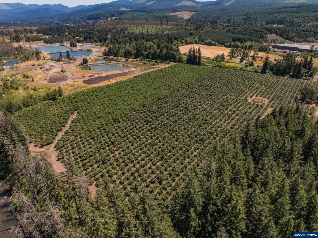 Land in Lyons, Oregon, United States 4 - 14638832