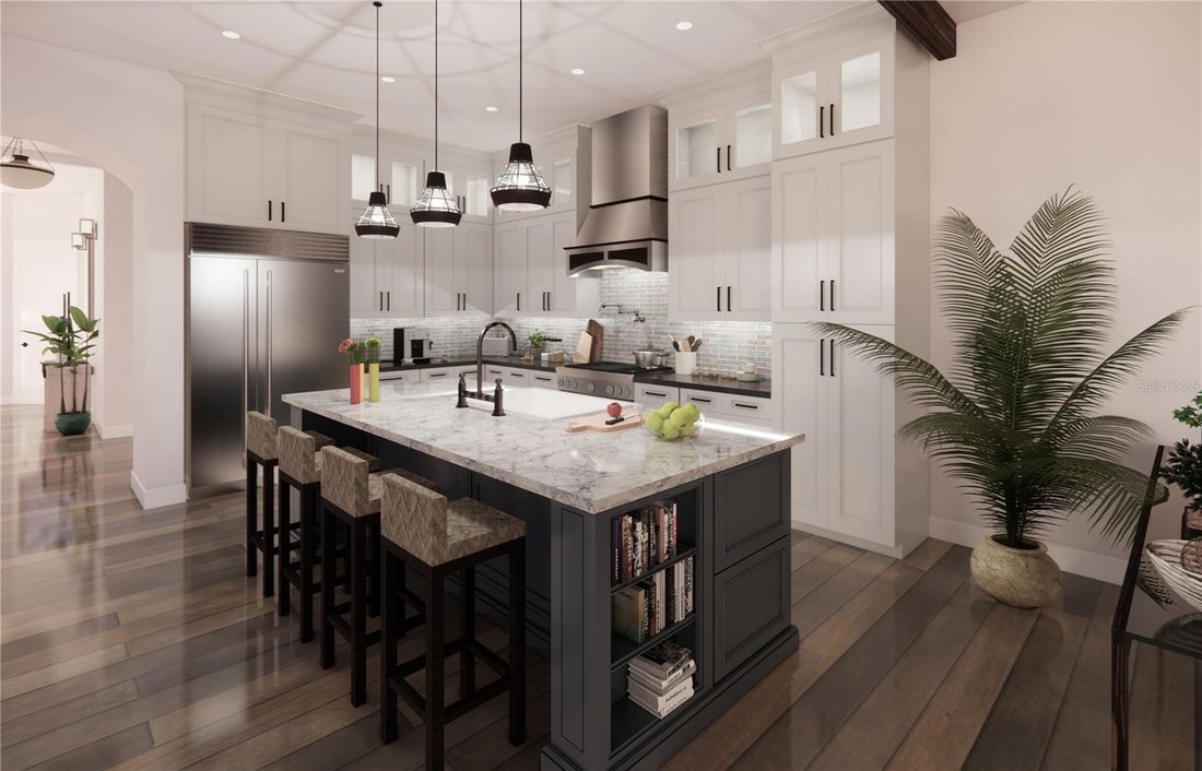 Townhouse in Safety Harbor, Florida, United States 4 - 14645669