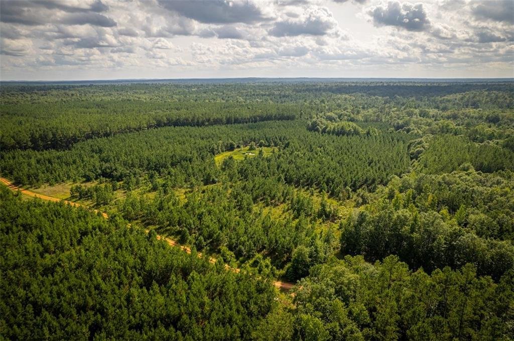 Lots And Land Pittsview In Pittsview, Alabama, United States For Sale (14641033)