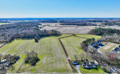 Terrain à Dagsboro, Delaware, États-Unis 1