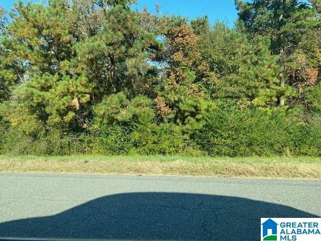 Land in Alabaster, Alabama, United States 1 - 14633319