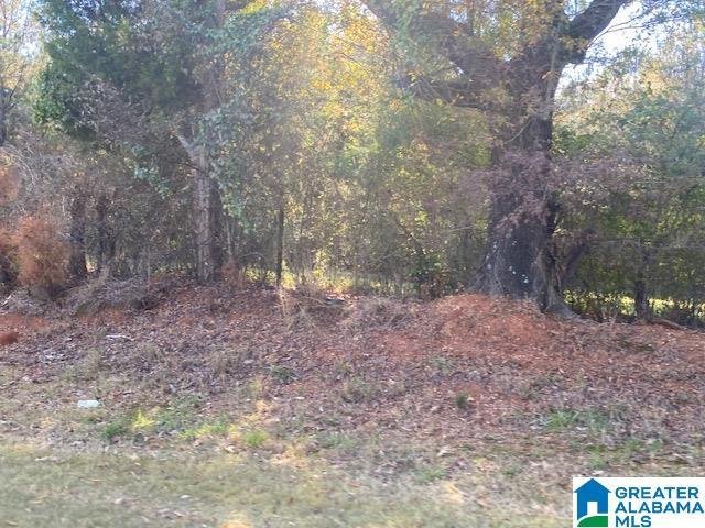 Land in Alabaster, Alabama, United States 4 - 14633319