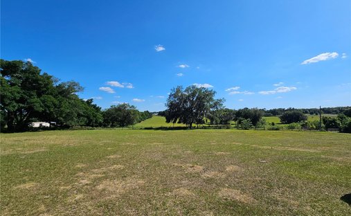 Terreno a Dade City, Florida, Stati Uniti 1