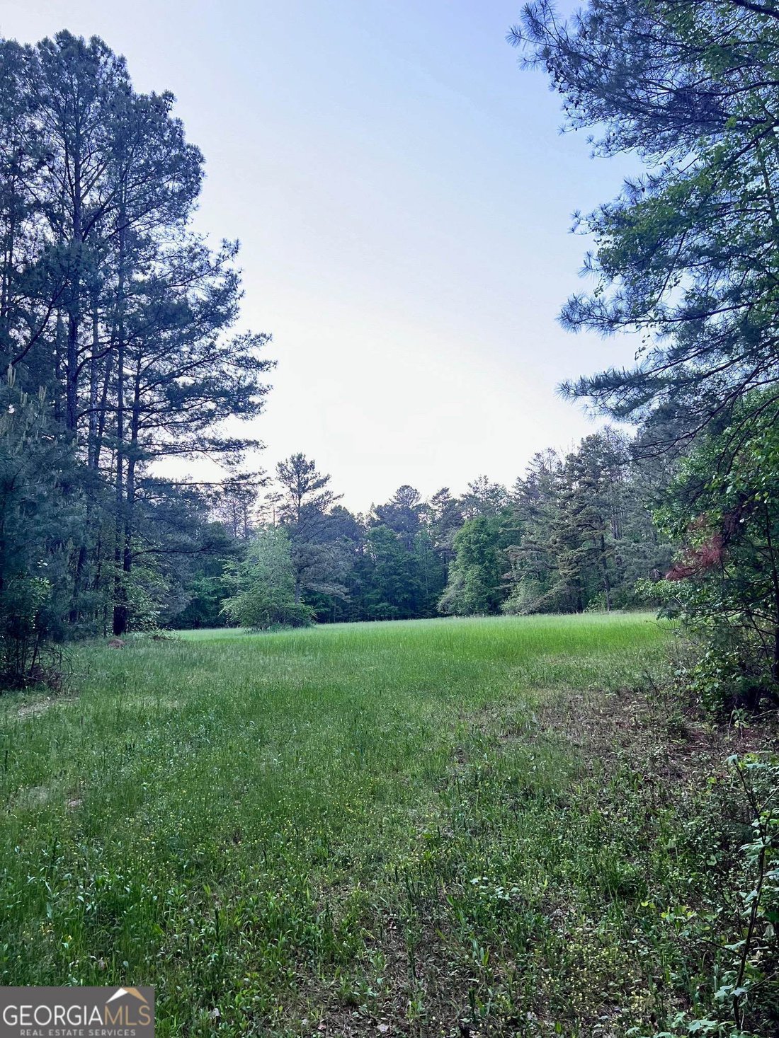 Farm Ranch in Watkinsville, Georgia, United States 1 - 14642986