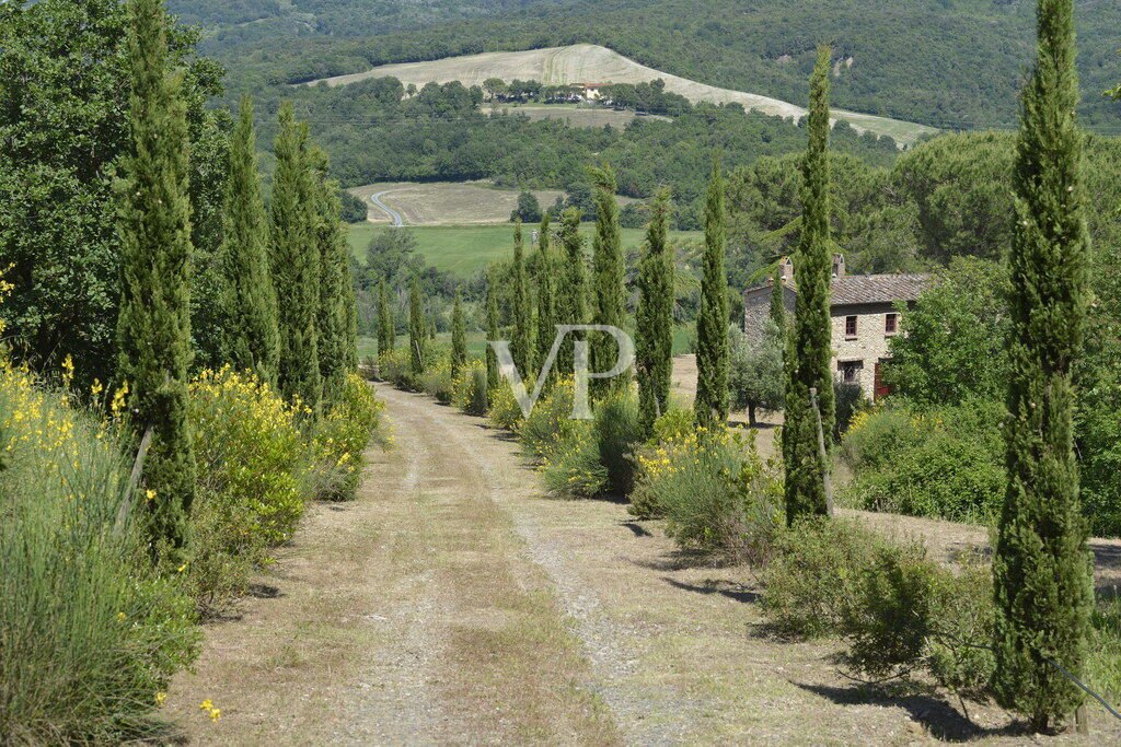 Townhouse in Casale Marittimo, Tuscany, Italy 5 - 14653196
