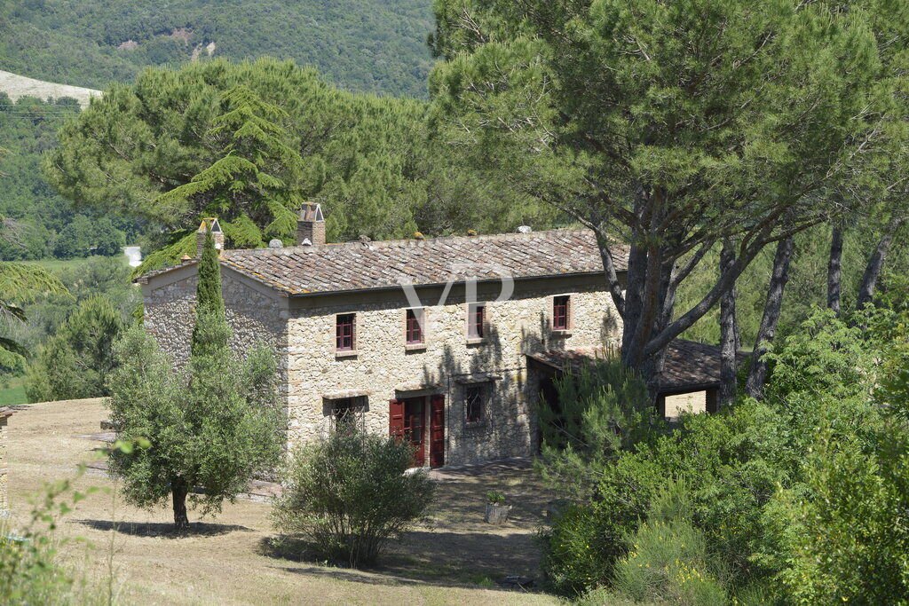 Townhouse in Casale Marittimo, Tuscany, Italy 2 - 14653196