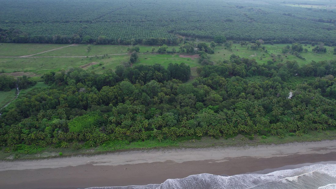 Quepos, Puntarenas Province, Costa Rica 2 - 14650498