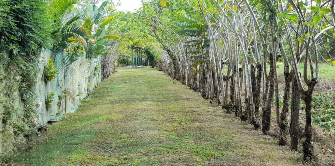 House in Uvita, Puntarenas Province, Costa Rica 5 - 14650497