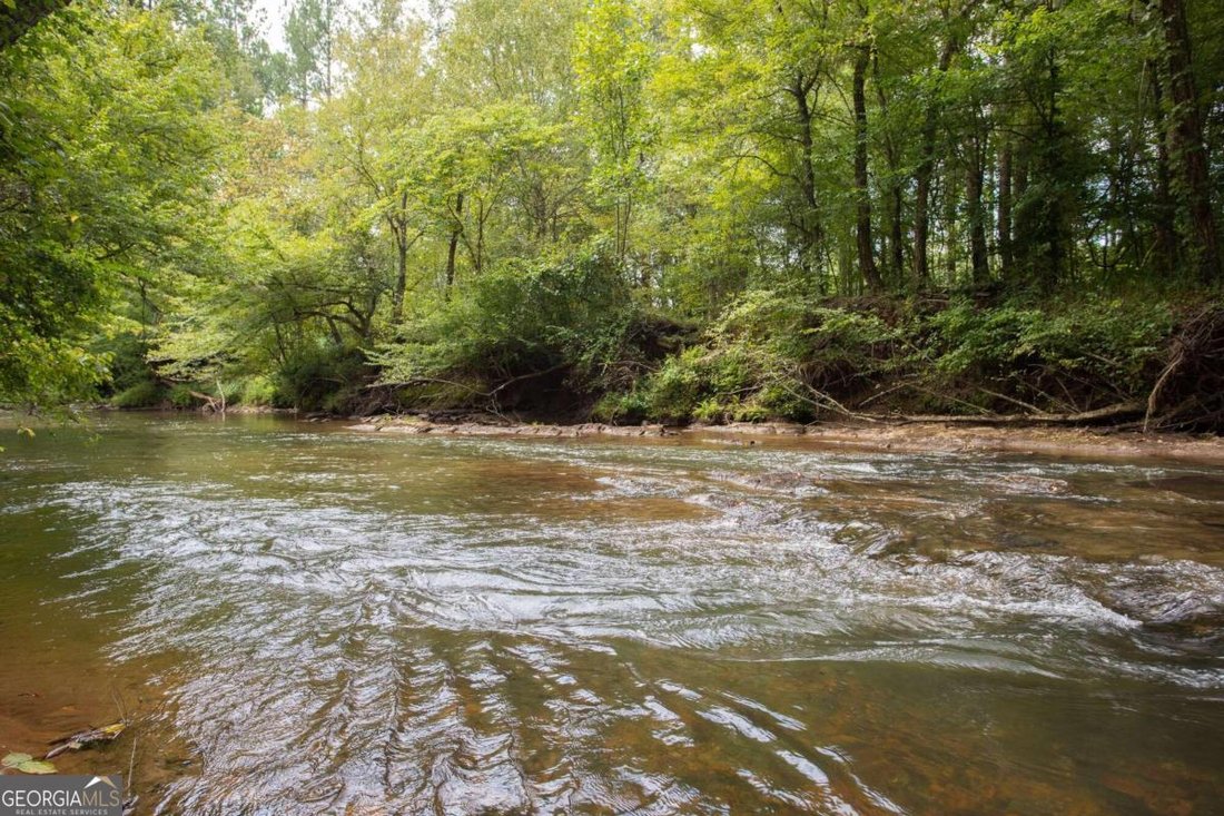 Farm And Agriculture Dahlonega In Dahlonega, United States For