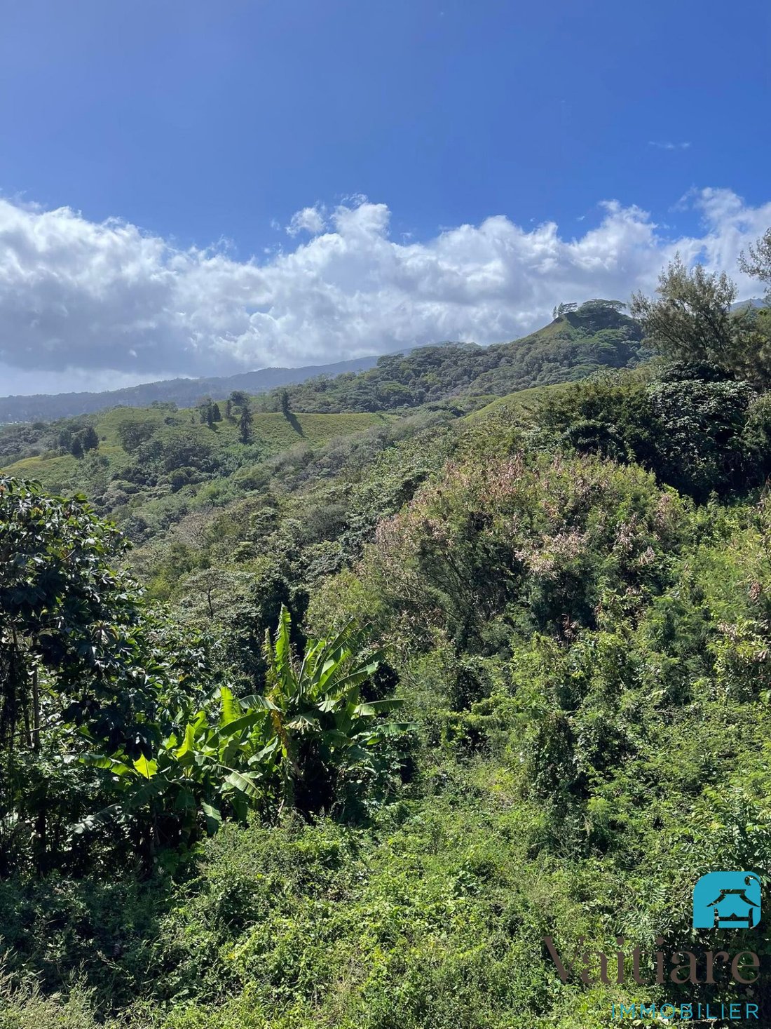 Land in Pape'ete, Windward Islands, French Polynesia 2 - 12848818