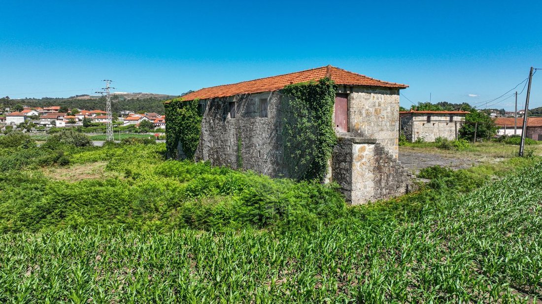 Finca in Carvalhosa, Porto District, Portugal 2 - 14656885