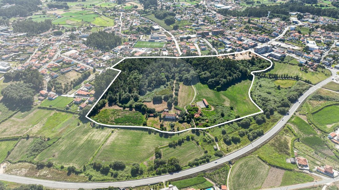 Finca in Carvalhosa, Porto District, Portugal 4 - 14656885