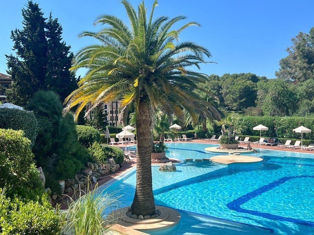 Apartment in Portals Nous, Calvia, Balearic Islands 1 - 13010939