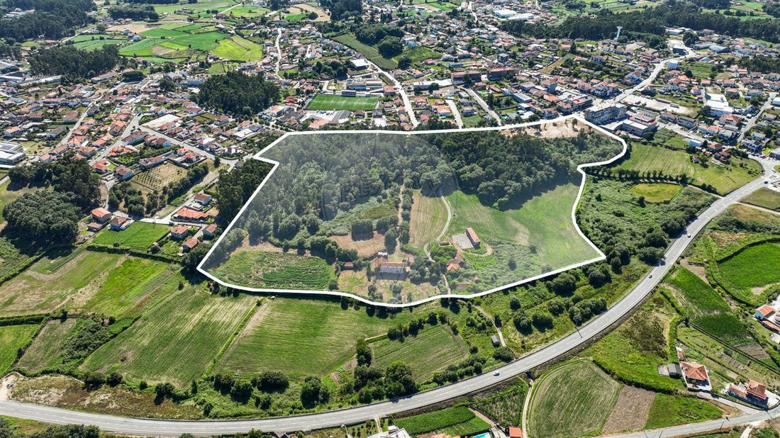 Finca in Carvalhosa, Porto District, Portugal 5 - 14656885