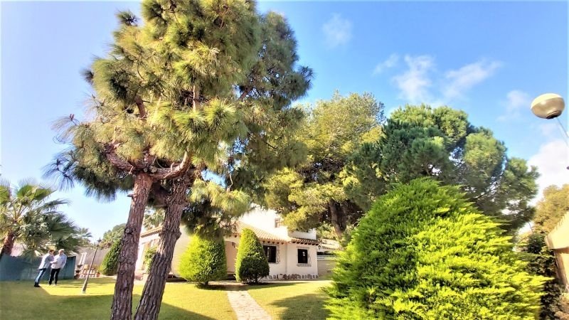 Chalet in Orihuela, Valencian Community, Spain 1 - 13453119