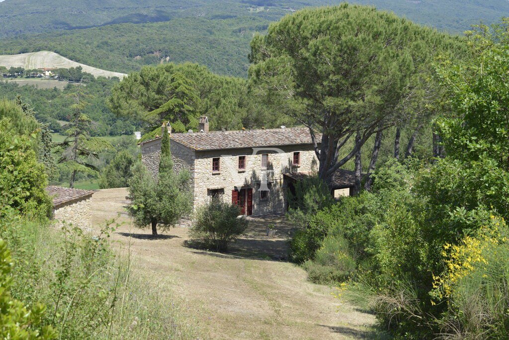 Townhouse in Casale Marittimo, Tuscany, Italy 3 - 14653196