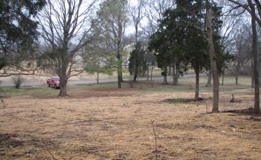 Land in Franklin, Tennessee, United States 1