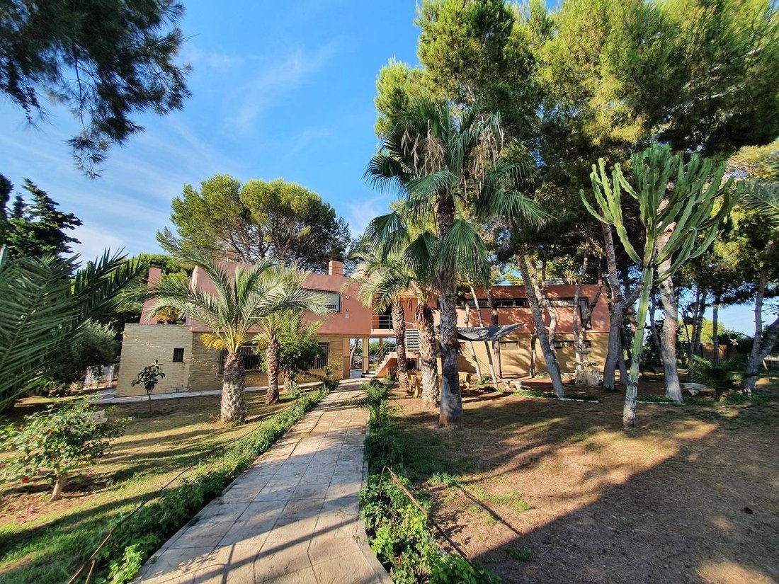 Chalet in Torrevieja, Valencian Community, Spain 4 - 11228816