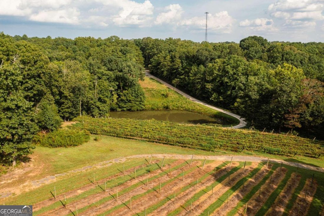 Land in Ball Ground, Georgia, United States 5 - 14650542