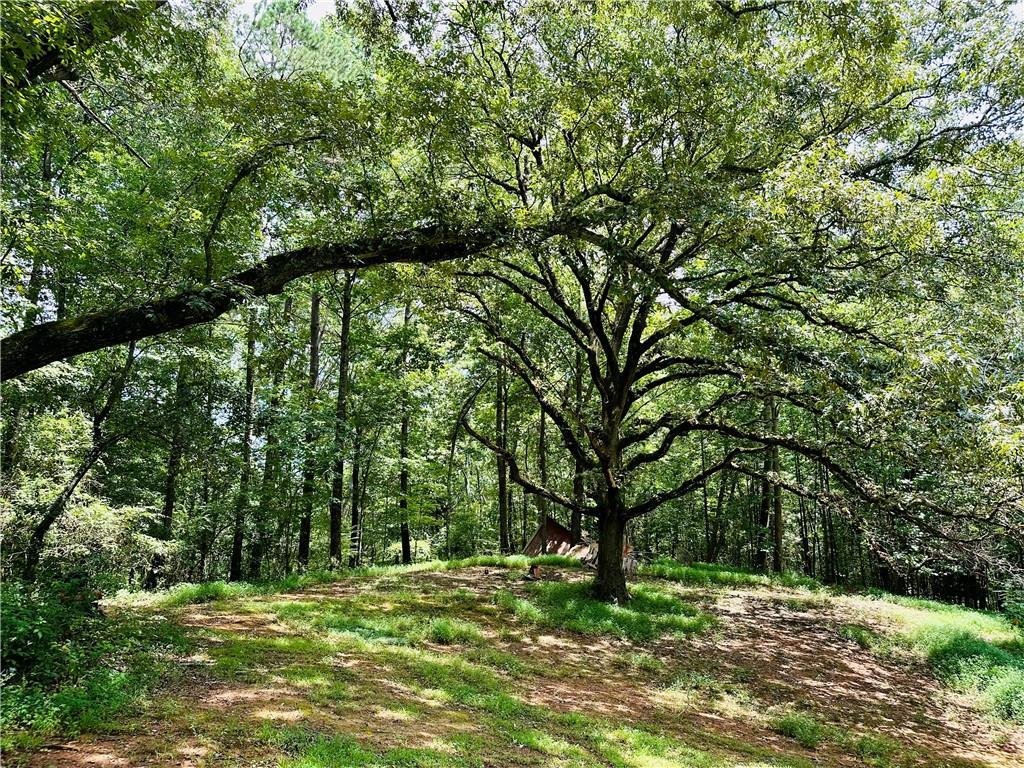 Land in Gainesville, Georgia, United States 4 - 14653982