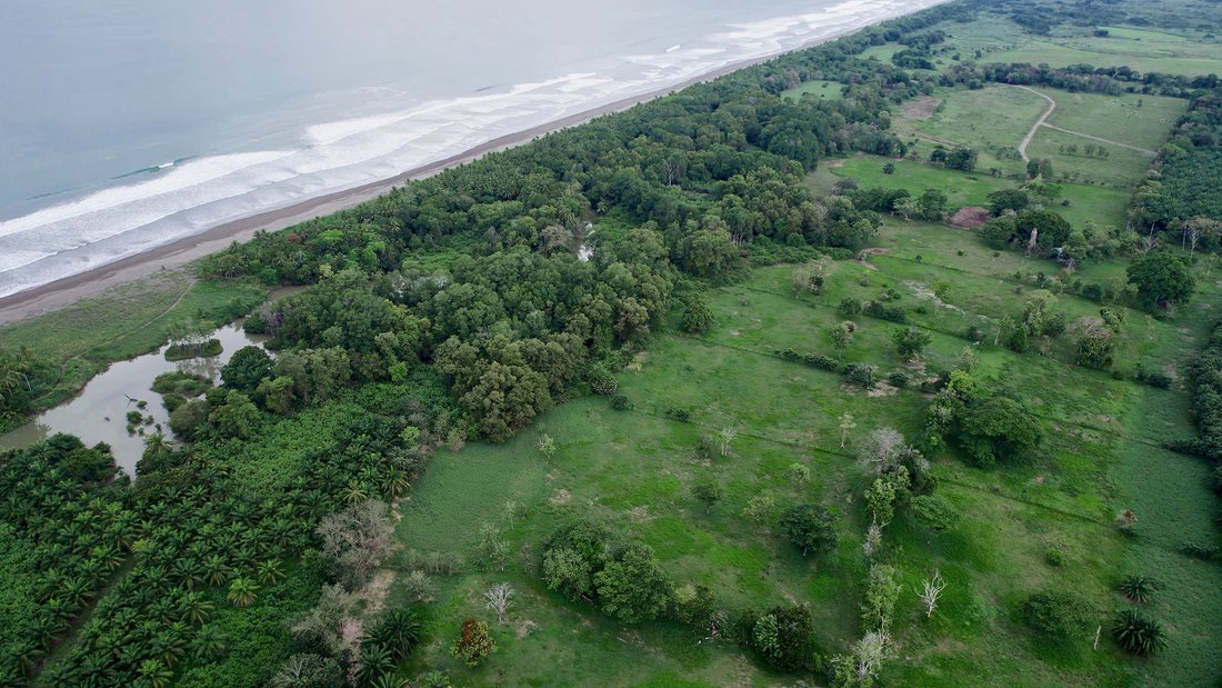Quepos, Puntarenas Province, Costa Rica 1 - 14650498