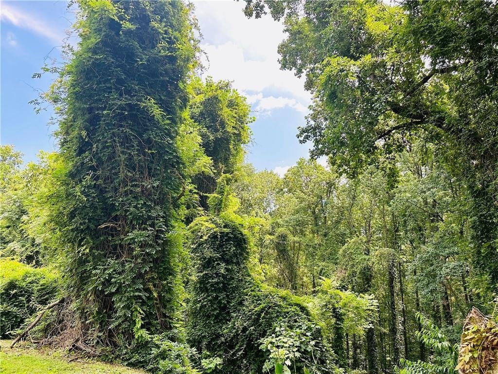 Land in Gainesville, Georgia, United States 5 - 14653982