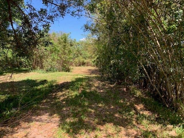 Land in Kissimmee, Florida, United States 5 - 14649303
