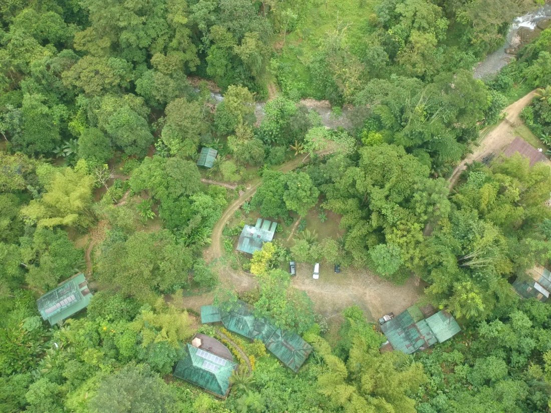 Piedras Blancas, Puntarenas Province, Costa Rica 4 - 14650458