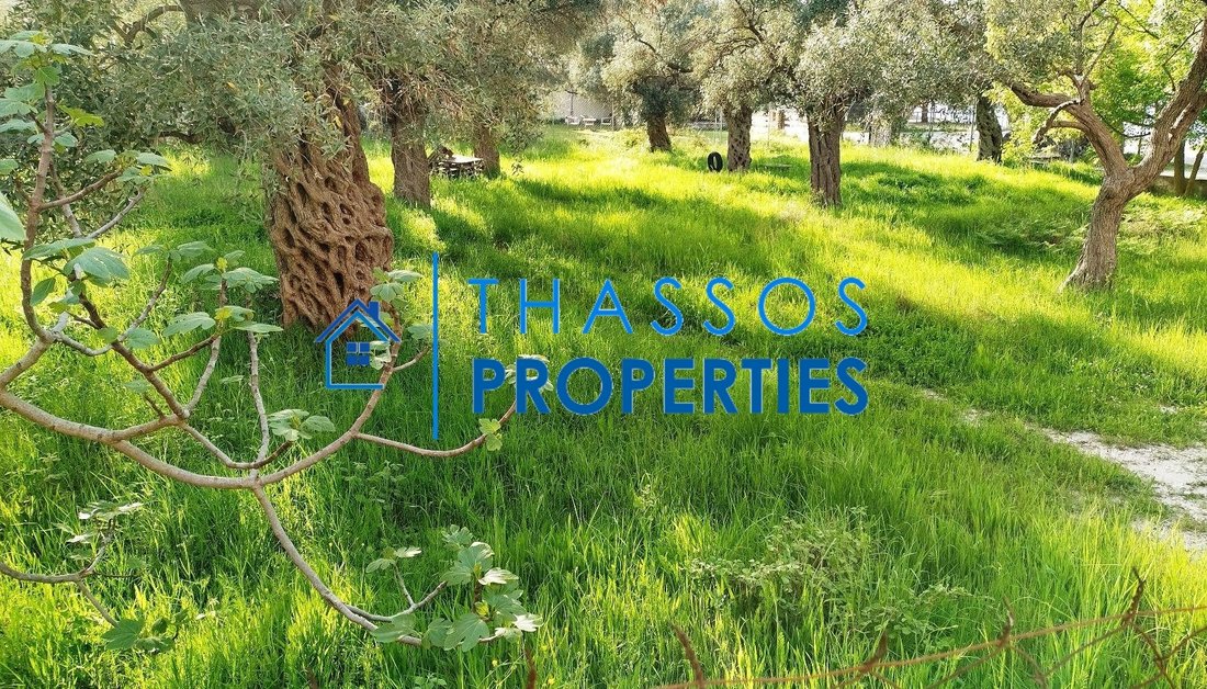 Land in Thasos, Decentralized Administration of Macedonia and Thrace, Greece 4 - 14651910