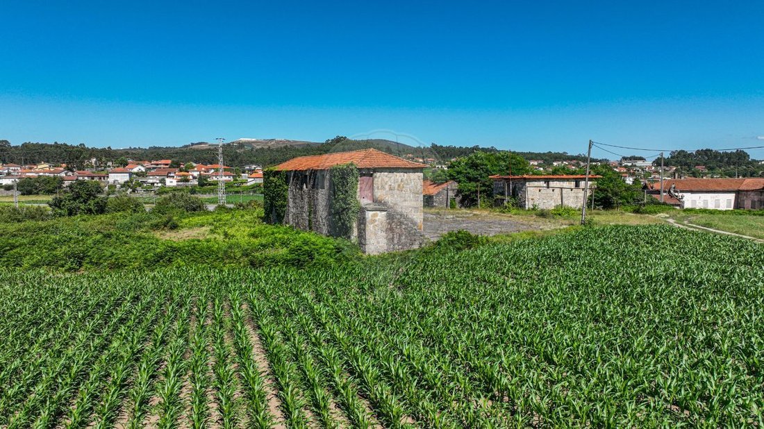 Finca in Carvalhosa, Porto District, Portugal 1 - 14656885