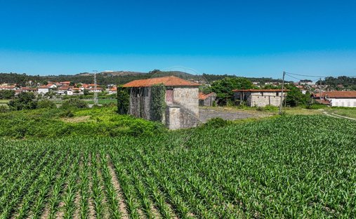 Finca in Carvalhosa, Porto District, Portugal 1
