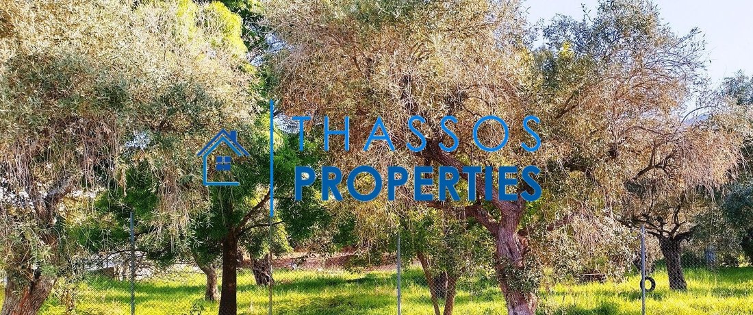 Land in Thasos, Decentralized Administration of Macedonia and Thrace, Greece 5 - 14651910