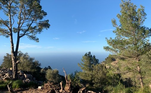 Terreno a Deià, Isole Baleari, Spagna 1