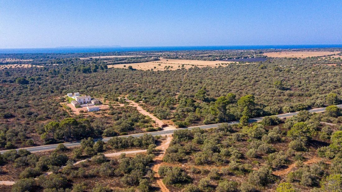 Land in Llucmajor, Balearic Islands, Spain 3 - 14657107