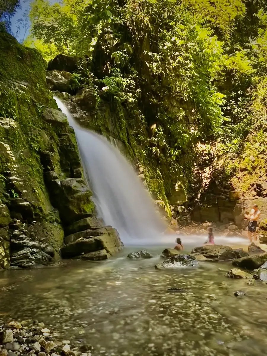 Piedras Blancas, Puntarenas Province, Costa Rica 5 - 14650458