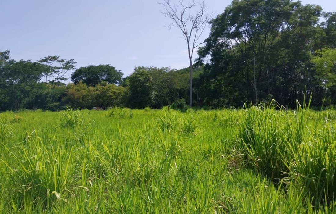 House in Uvita, Puntarenas Province, Costa Rica 3 - 14650497