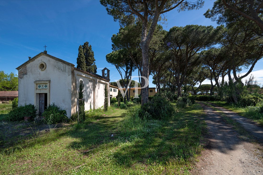 Villa in Rusellae, Tuscany, Italy 5 - 14653195