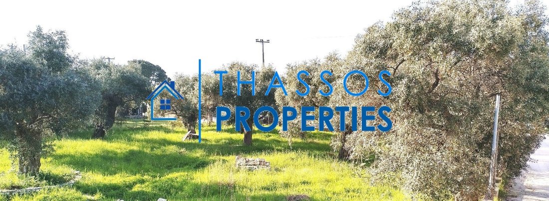 Land in Thasos, Decentralized Administration of Macedonia and Thrace, Greece 3 - 14651910