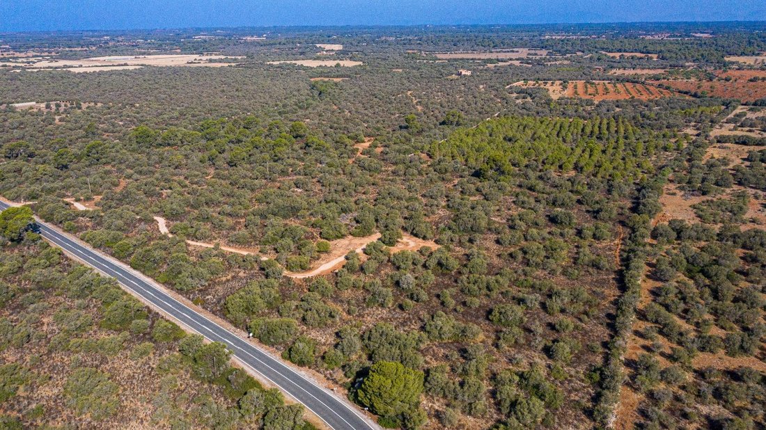 Land in Llucmajor, Balearic Islands, Spain 4 - 14657107