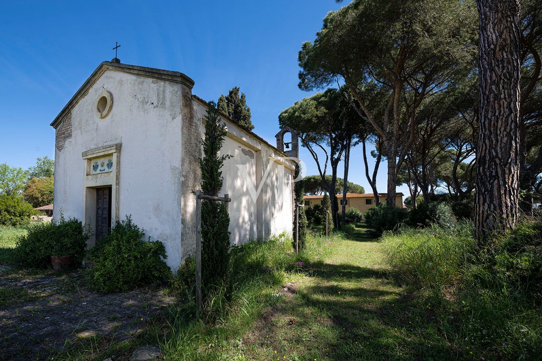 Villa in Rusellae, Tuscany, Italy 4 - 14653195