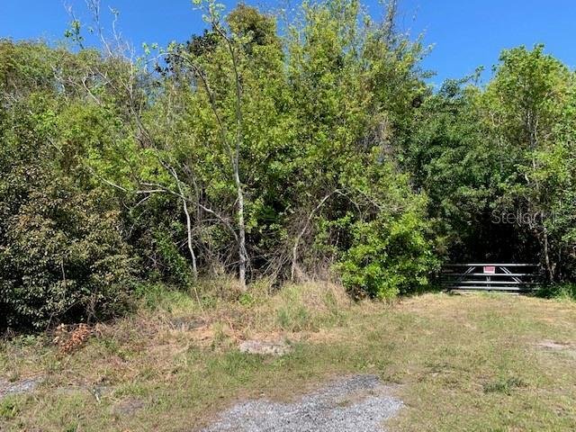 Land in Kissimmee, Florida, United States 3 - 14649303