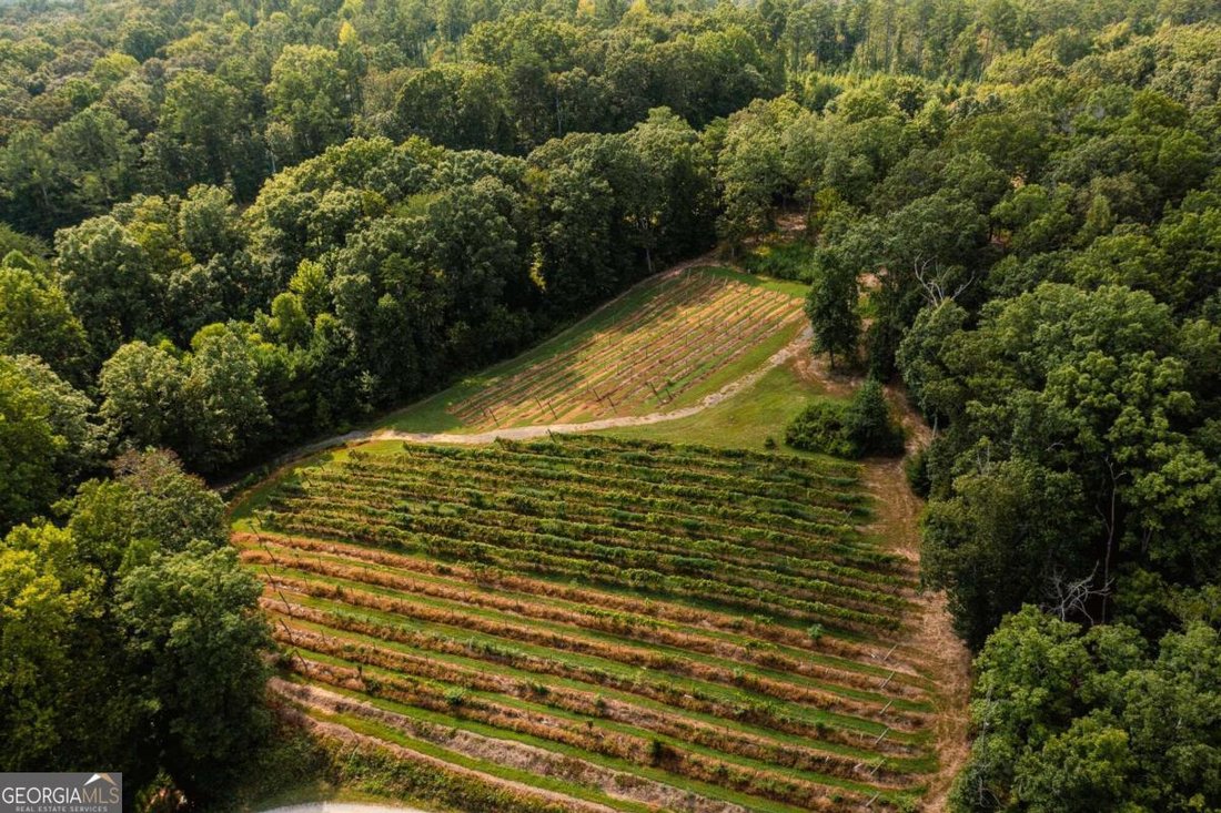 Land in Ball Ground, Georgia, United States 2 - 14650542