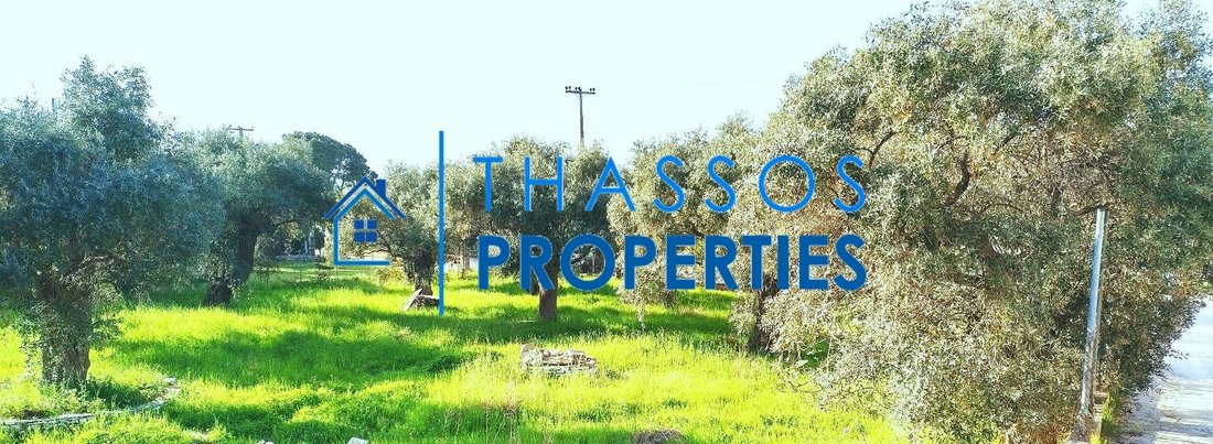Land in Thasos, Decentralized Administration of Macedonia and Thrace, Greece 2 - 14651910