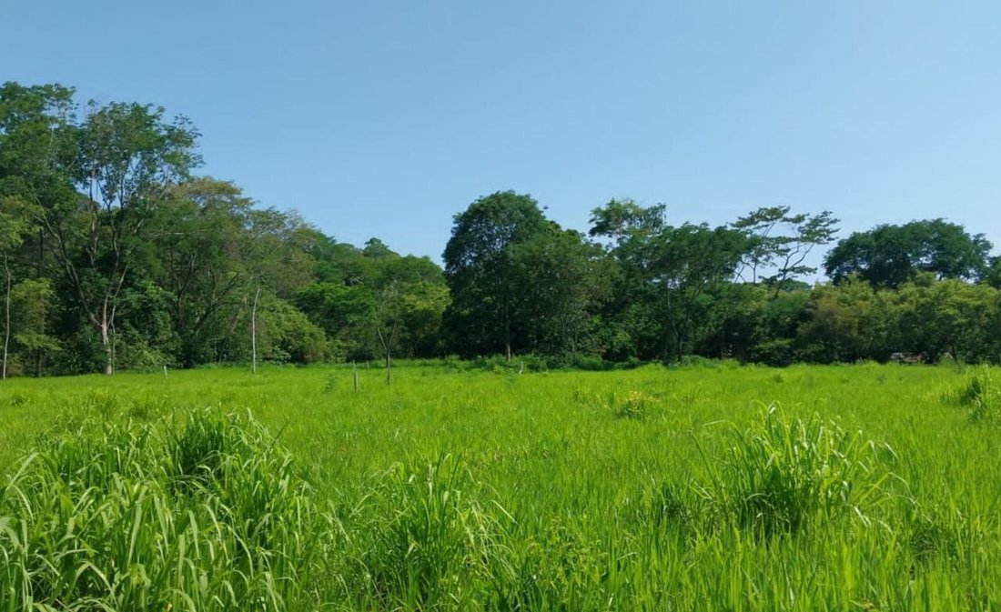 House in Uvita, Puntarenas Province, Costa Rica 1 - 14650497