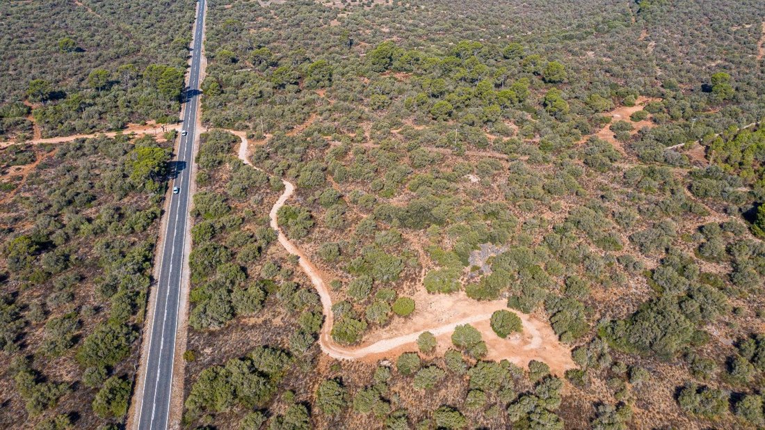 Land in Llucmajor, Balearic Islands, Spain 5 - 14657107
