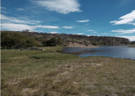 Farm Ranch in Laguna Blanca, Magallanes and Chilean Antarctica, Chile 3 - 14647781