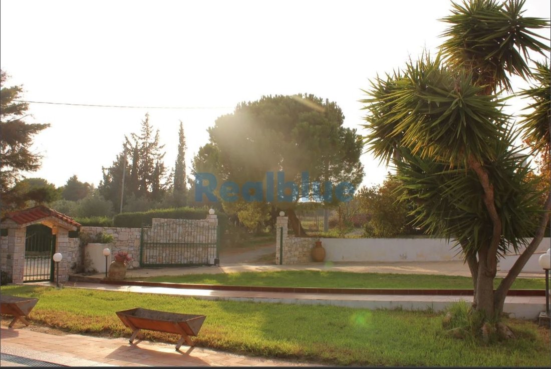 House in Rafina, Attica, Greece 4 - 14660843