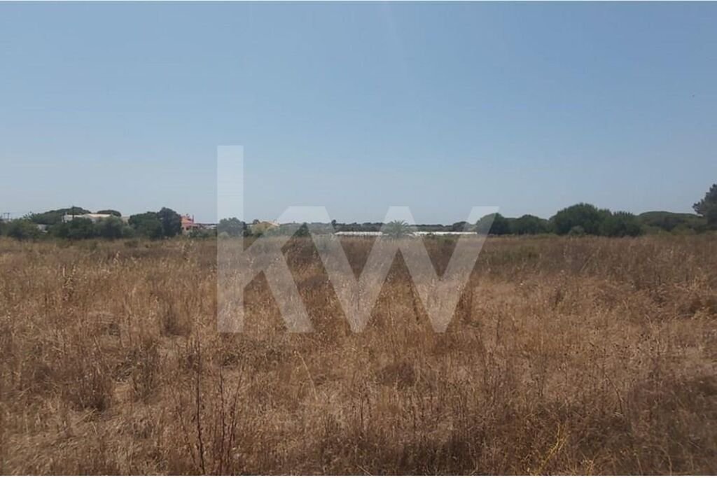 Land in Montenegro, Algarve, Portugal 5 - 14662018