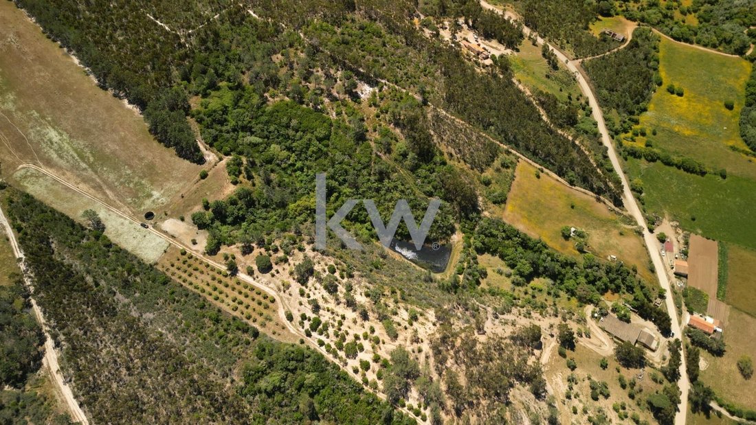 Farm Ranch in Budens, Algarve, Portugal 4 - 14662049