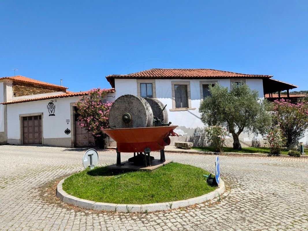 Farm Ranch in Avantos, Braganca District, Portugal 1 - 14663605